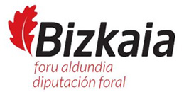 logo diputacion foral bizkaia